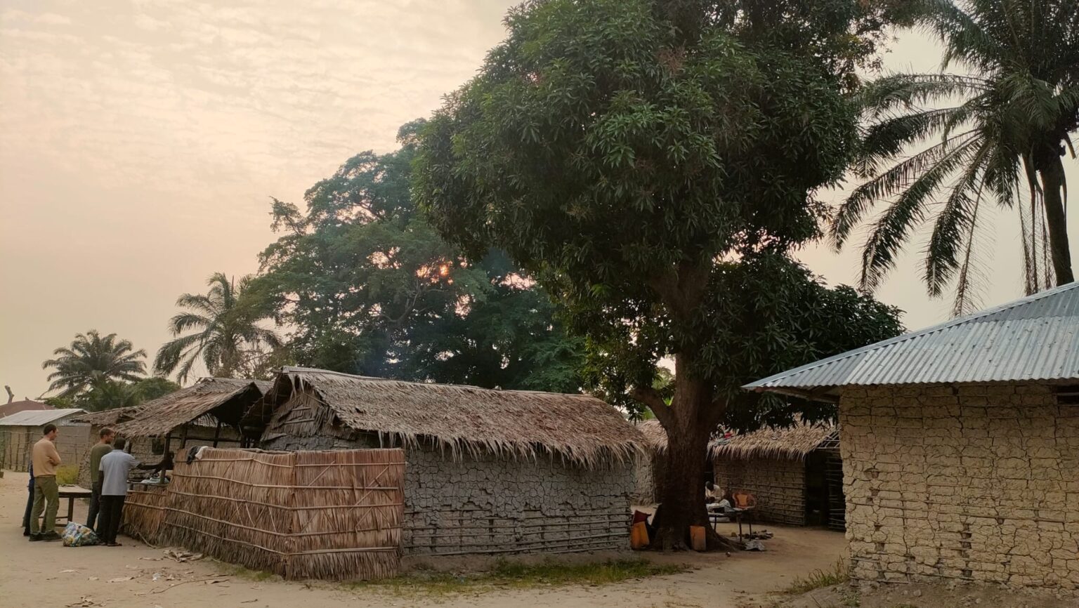 Habitat et assainissement